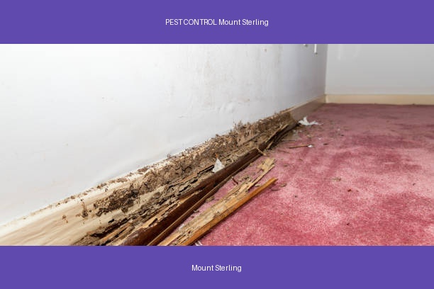 PEST CONTROL Mount Sterling